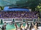 โครงการศึกษานอกสถานที่ “ป.4 : ท่องแดนมหัศจรรย์ในเขาเขียว” Image 75